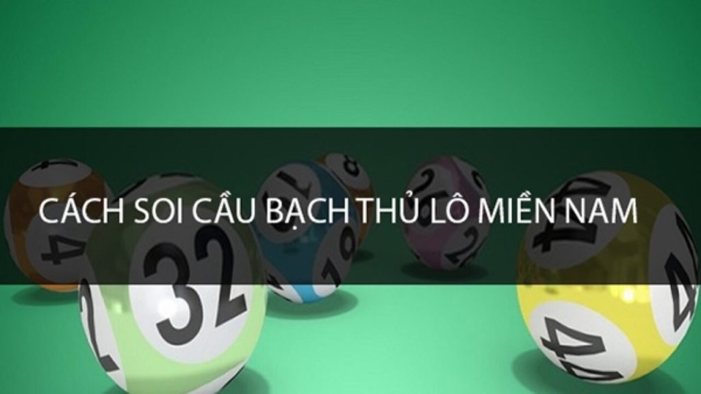 soi cau bach thu mien nam theo kieu dang so kep 1024x576 1