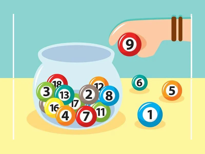 soi lo bach thu mien nam theo giai dac biet lieu co kho khong lô bạch thủ