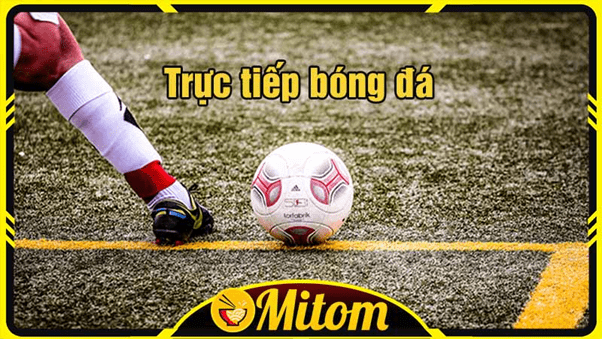 mitom tv 1